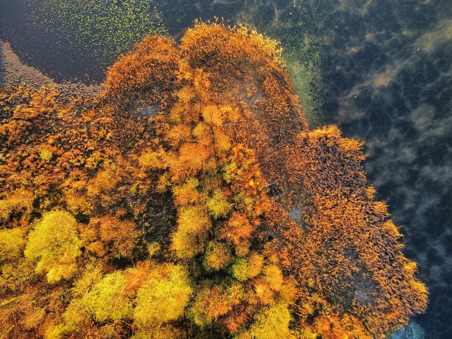 Autumn Landscape From The Air Autumn Landscape From The Air