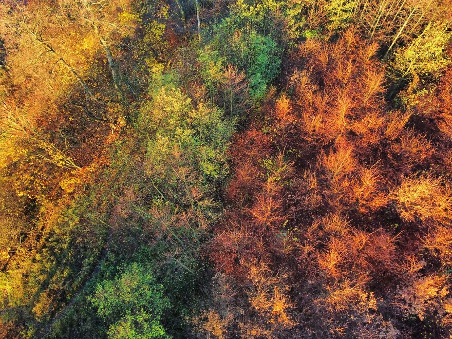 Autumn Landscape From The Air Autumn Landscape From The Air