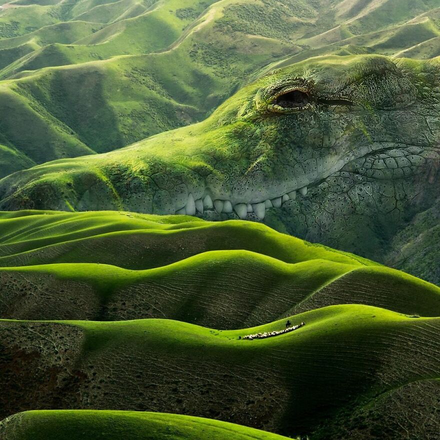 Photographic Project Merges Landscapes And Wild Animals Into Breathtaking Images (53 Pics)