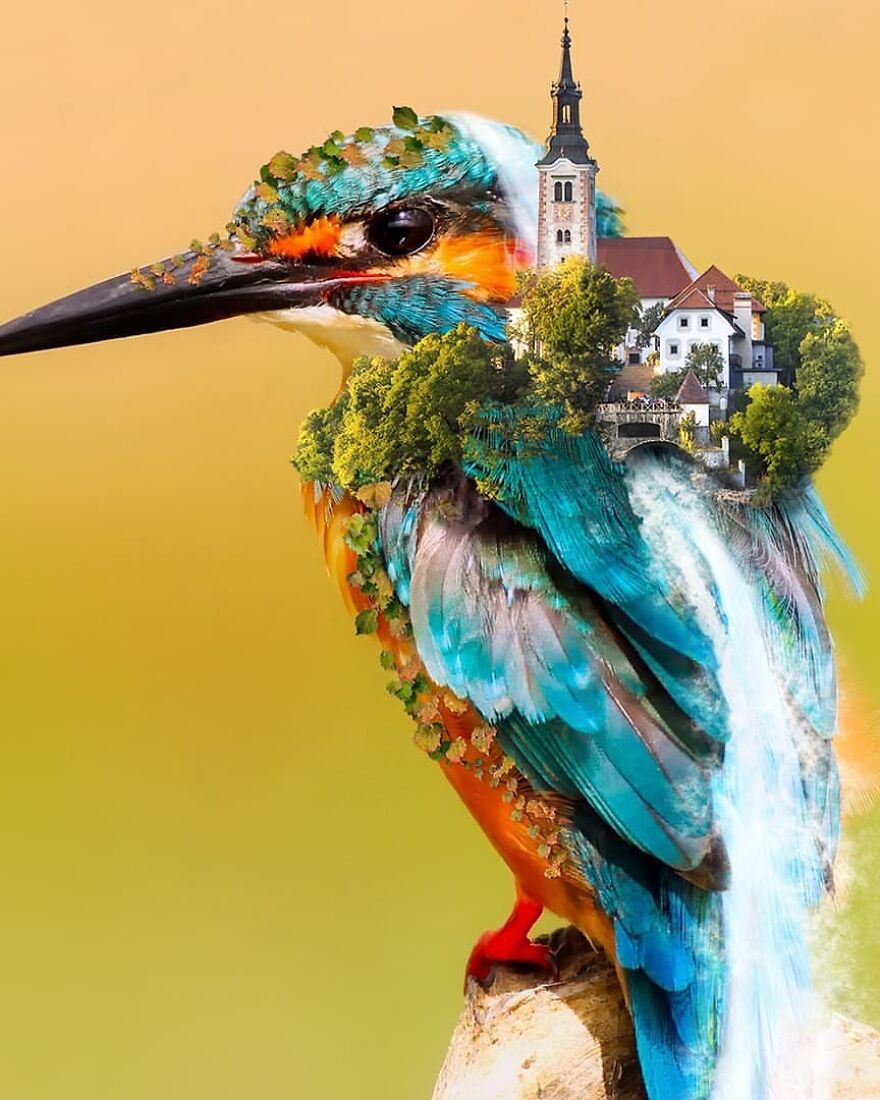 Photographic Project Merges Landscapes And Wild Animals Into Breathtaking Images (53 Pics)