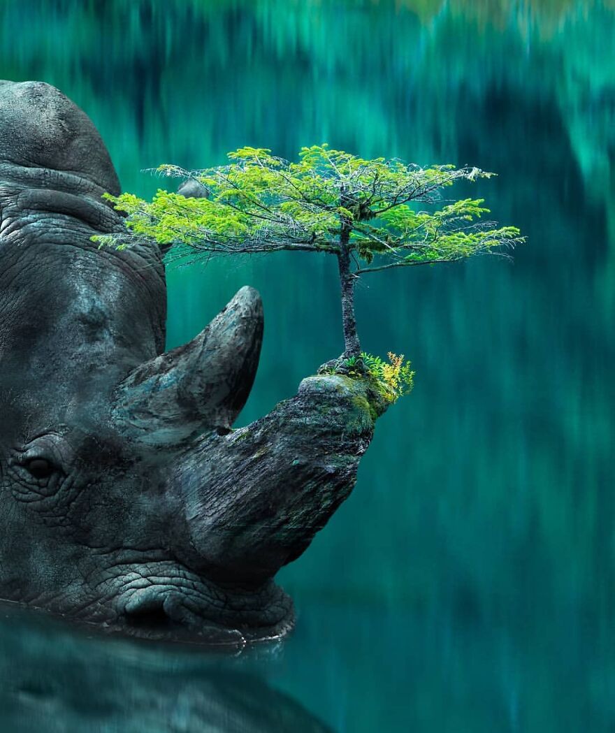 Photographic Project Merges Landscapes And Wild Animals Into Breathtaking Images (53 Pics)