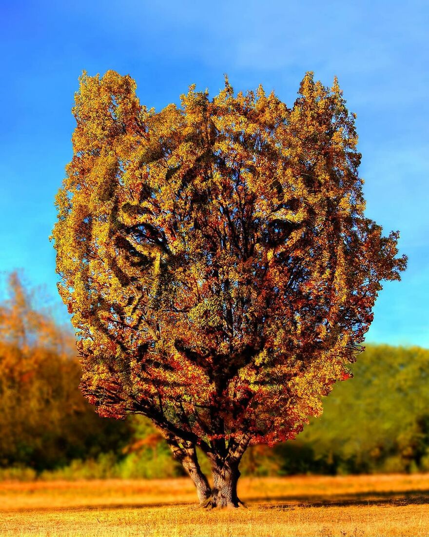 Photographic Project Merges Landscapes And Wild Animals Into Breathtaking Images (53 Pics)