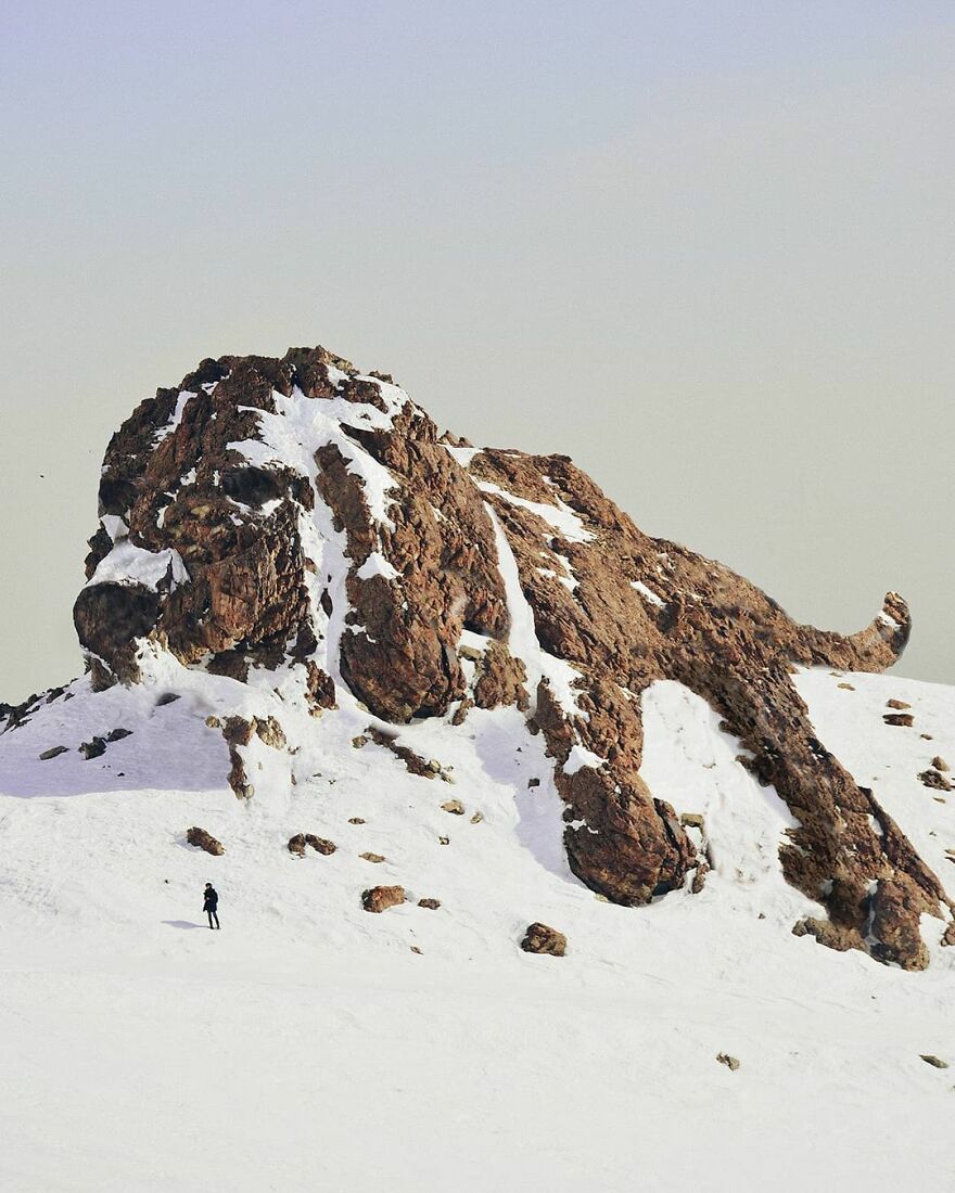 Photographic Project Merges Landscapes And Wild Animals Into Breathtaking Images (53 Pics)