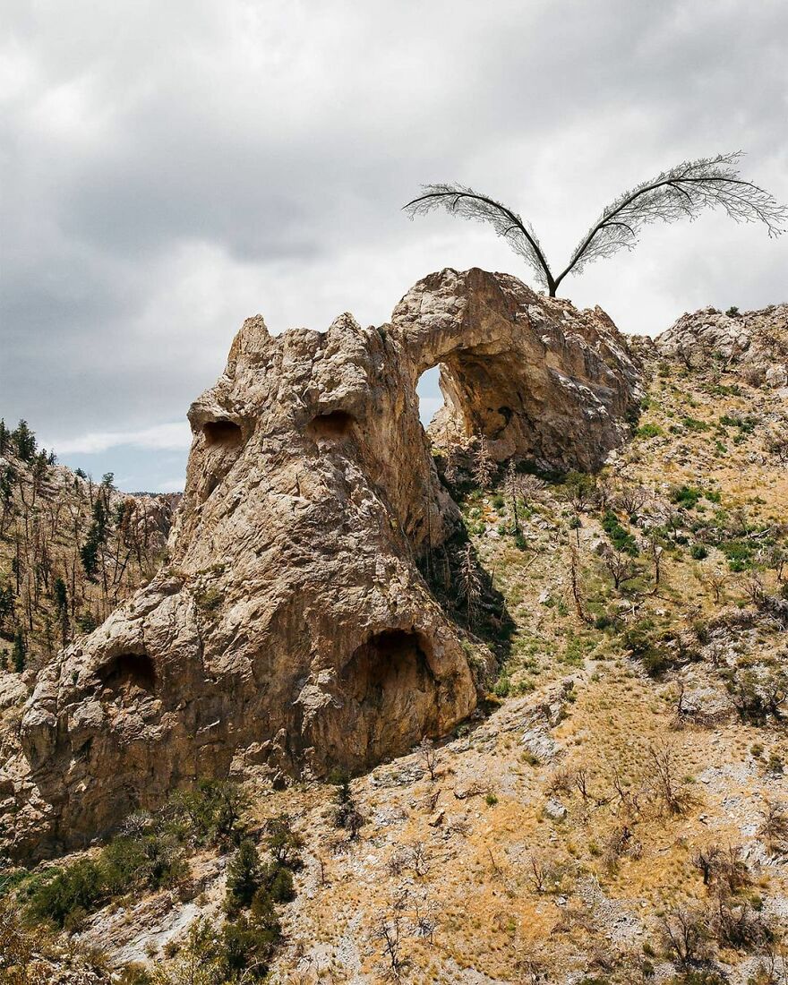 Photographic Project Merges Landscapes And Wild Animals Into Breathtaking Images (53 Pics)