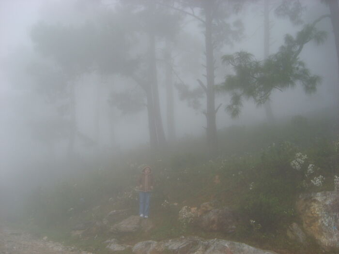 Me Into The Fog, Hidalgo, Mexico.