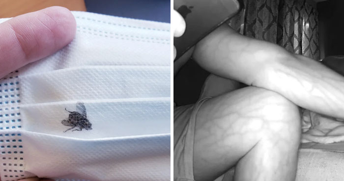 This Online Group Is Dedicated To ‘Mildly Interesting’ Stuff, And Here Are Their 50 Best Posts (New Pics)