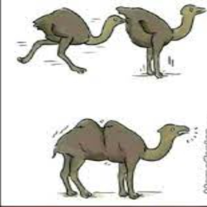 Stop It, Get Some Help