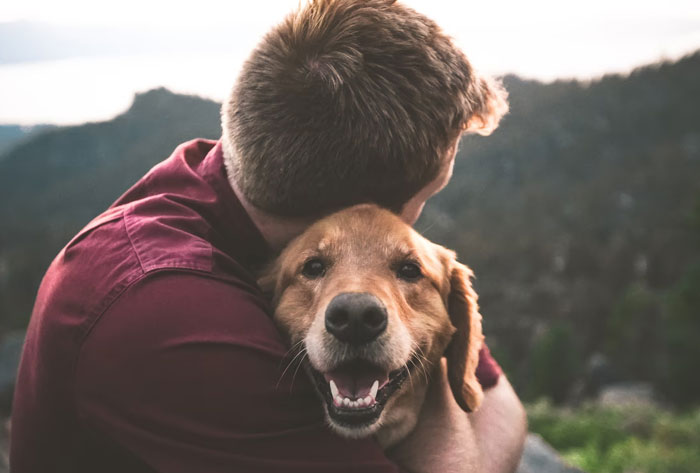 People Who Had To Choose Their Pet Over Their Partner Reveal How It All Went (35 Pics)