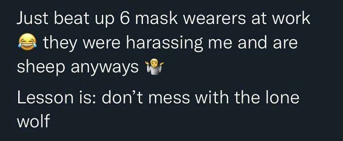 “Lone Wolf” Beats Up 6 People