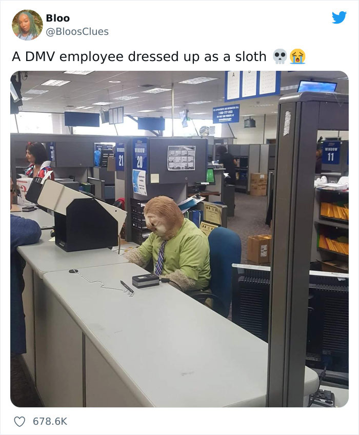 This Person Won Halloween