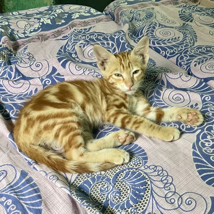 Just 5 More Minutes Please...