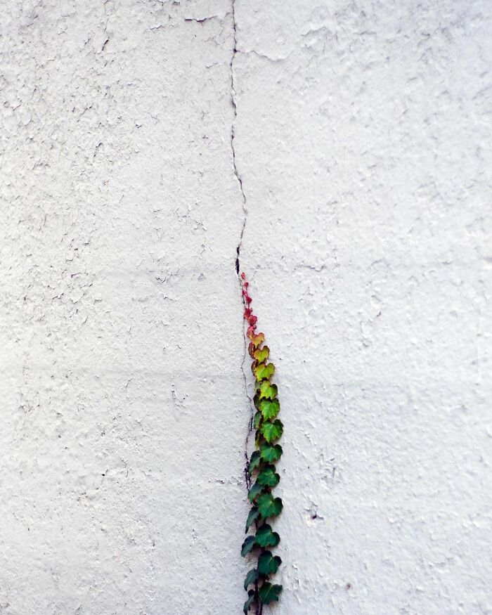 Photographer-Eric-Kogan