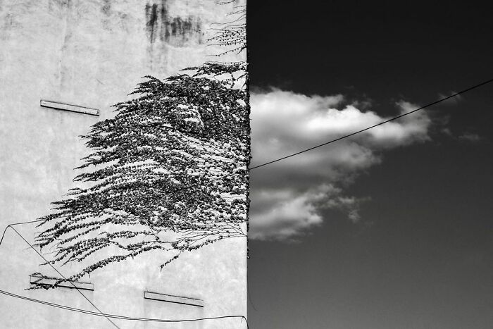 Photographer-Eric-Kogan