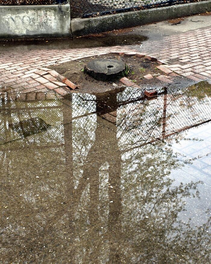 Photographer-Eric-Kogan