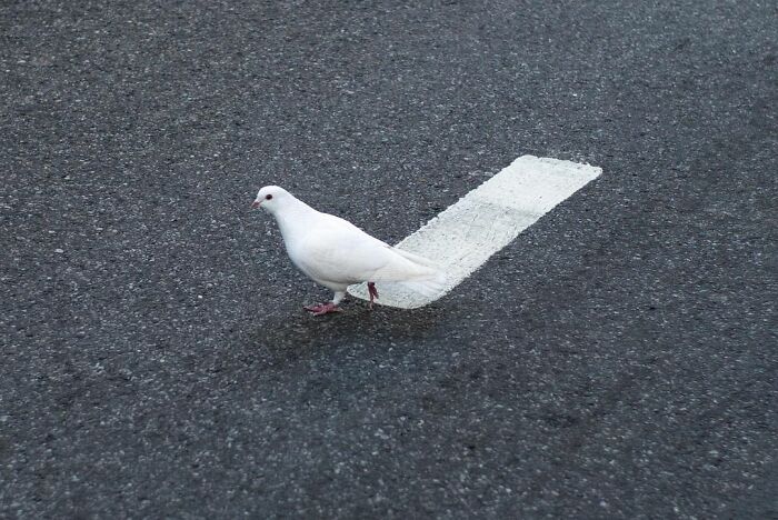 Photographer-Eric-Kogan