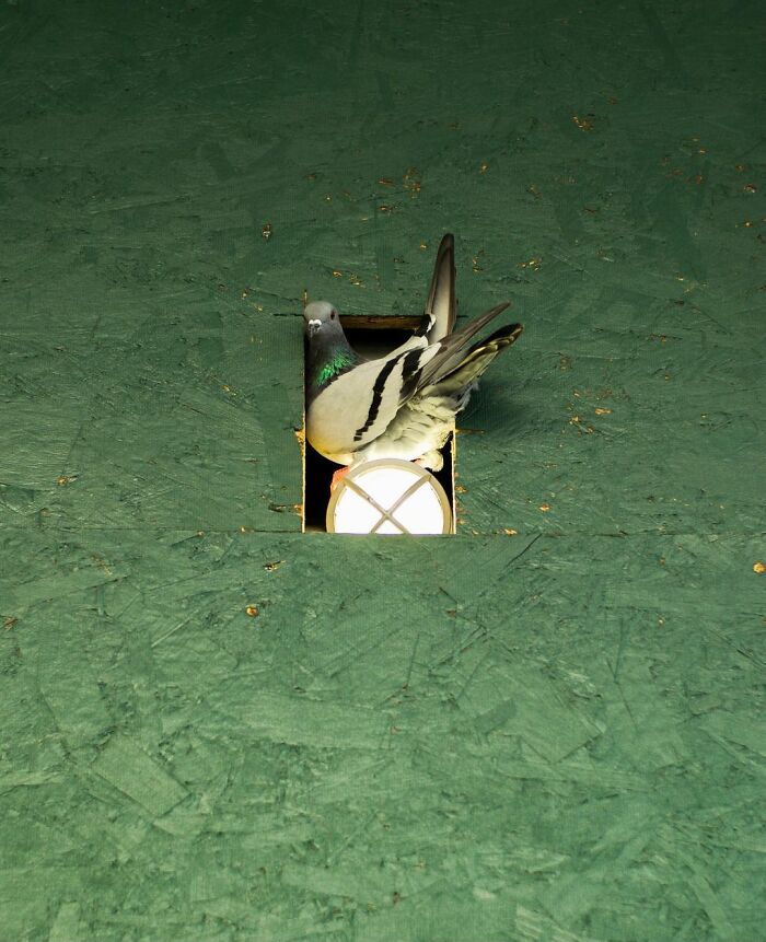 Photographer-Eric-Kogan