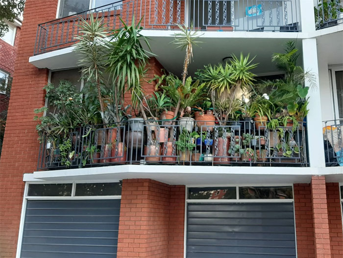 Which One Of You Deviants Lives Here?