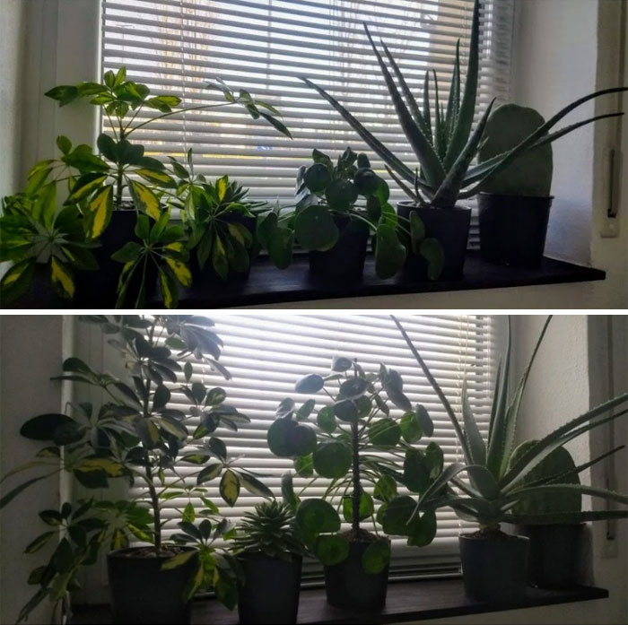 I Thought You Guys Would Appreciate This, Since None Of My Friends Did. One Year Difference