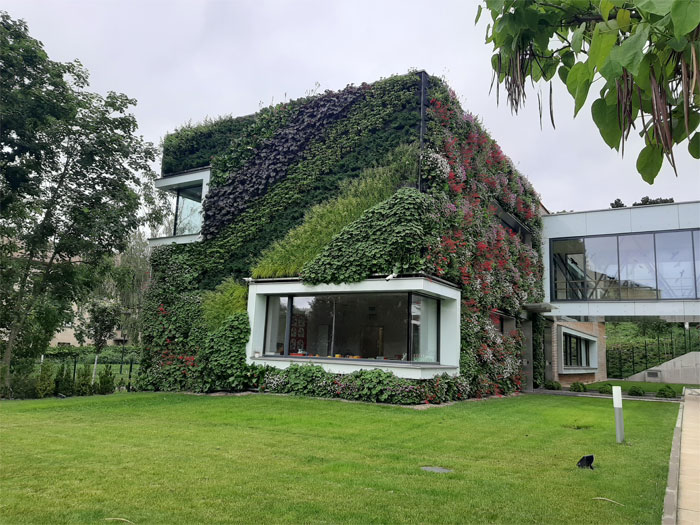 I See Your House Plants And Raise You A Plant House