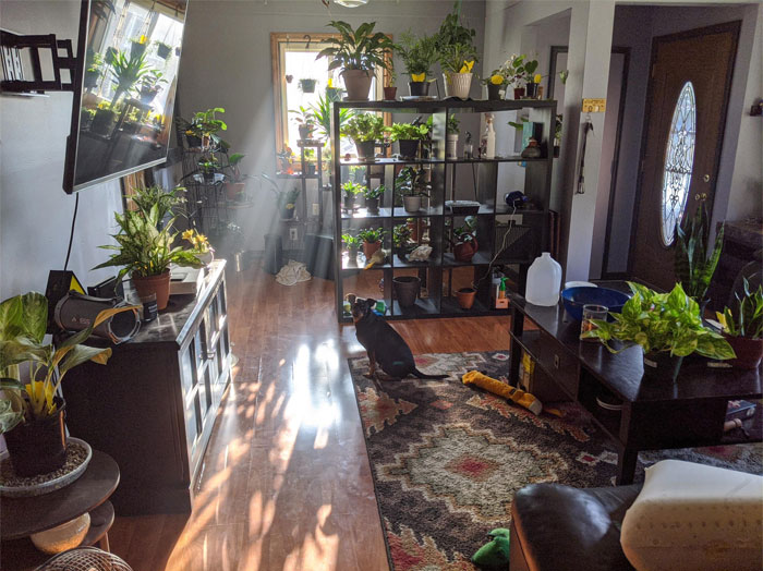 I Love Walking Out Into My Living Room Every Morning To This! Always Starting My Day With Positive Vibes