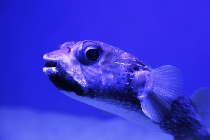 35 Datos muy espeluznantes de la vida real que deberías evitar si te asustas fácilmente