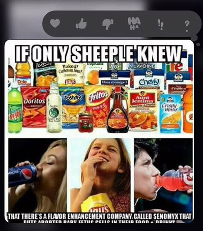 6 Messages This Guy Received From His Mom Who Is A QAnon Follower