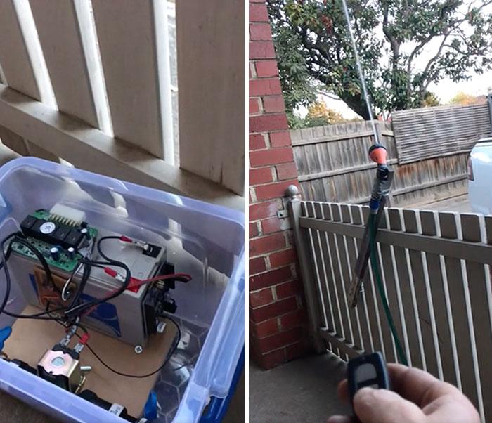 My Brother’s Solution To A Bird That Wakes Him Up Every Morning