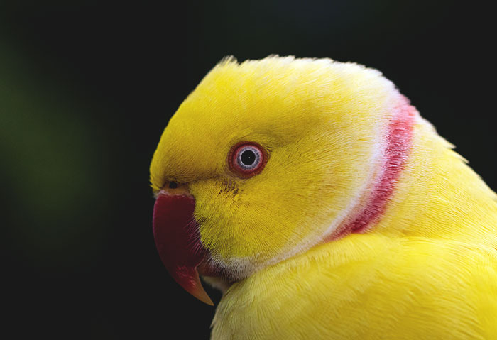 40 People Reveal Rude-As-Hell Gifts They've Received