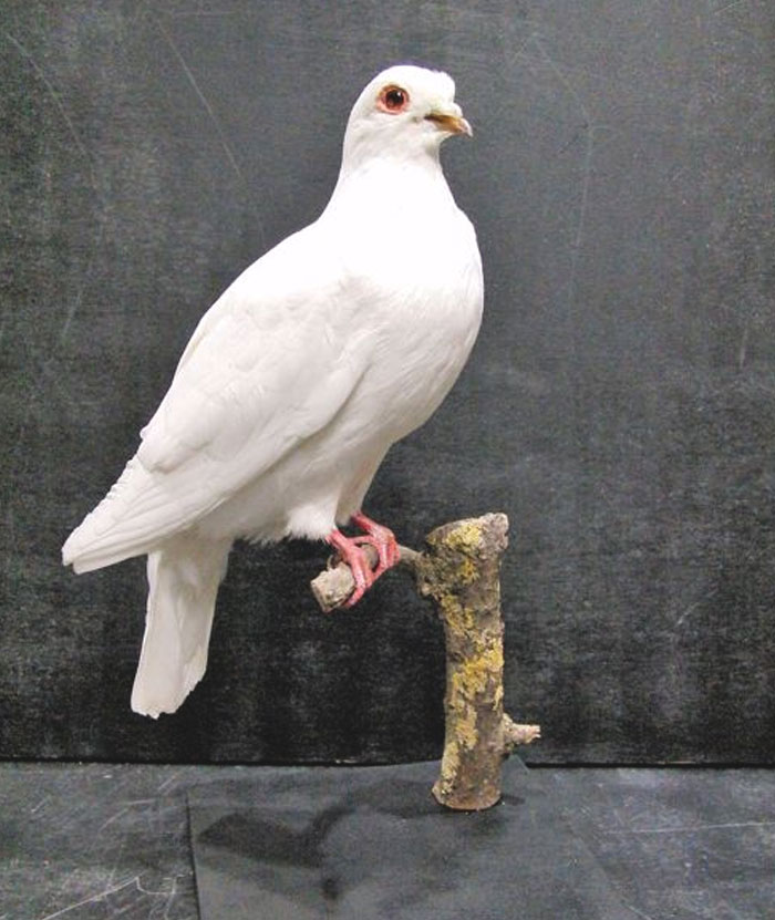 40 People Reveal Rude-As-Hell Gifts They've Received