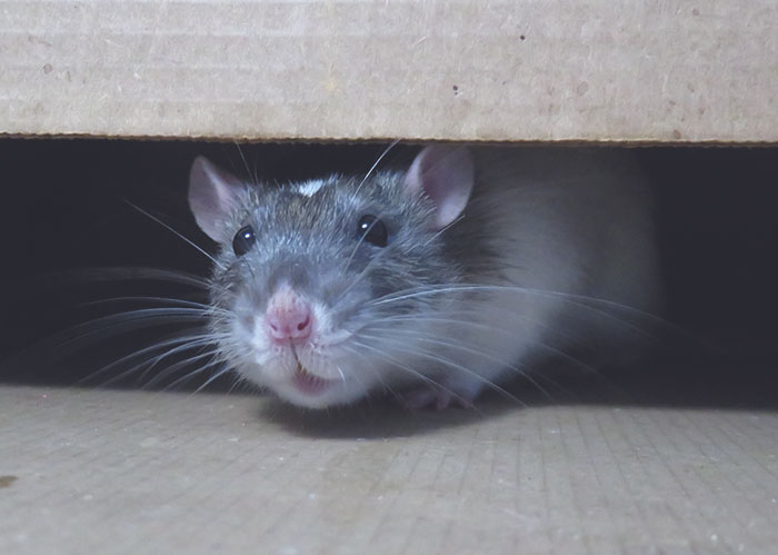 40 People Reveal Rude-As-Hell Gifts They've Received