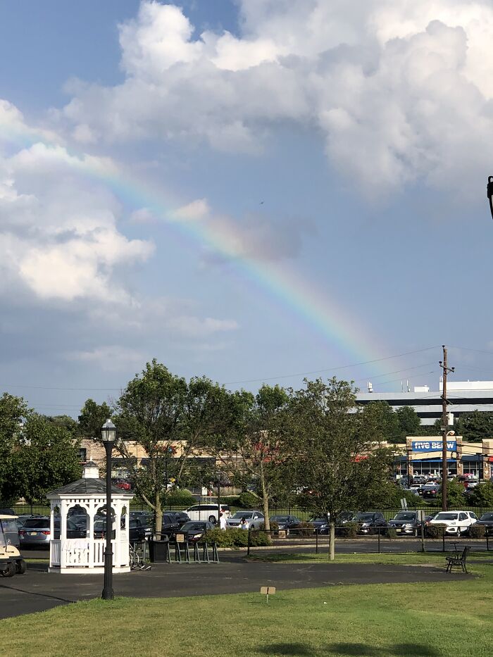 After A Quick Passing Shower-Lovely To See!!