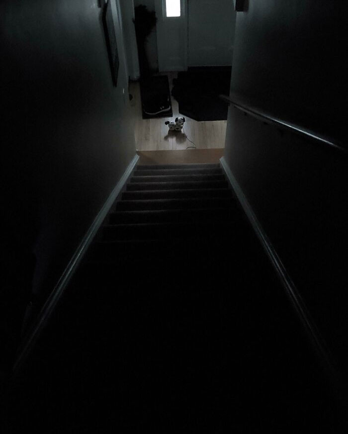 My Son Left A Toy At The Bottom Of The Stairs. Did Not Appreciate Seeing This While Still Half Asleep This Morning