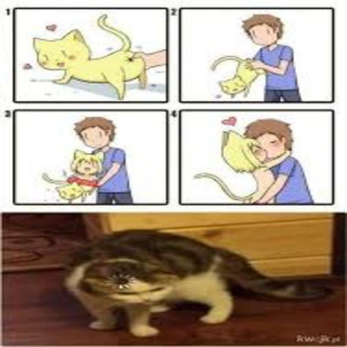 I Still Dont Know Why I Have This Image