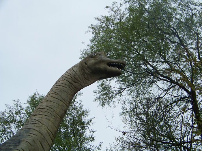 Guy Reveals 12 Things That A Lot Of People Thought Happened Years Ago, But Are In Fact More Recent