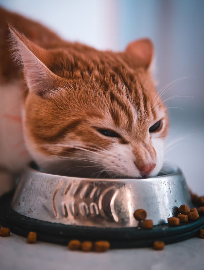 30 Ex-Burglars Reveal The Signs Of Your Home Being Targeted And How To Avoid It