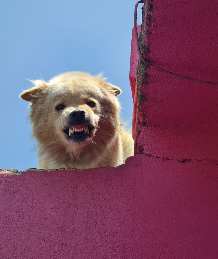 25 Ex ladrones revelan las señales de cómo las casas se convierten en un objetivo y la forma de evitarlo