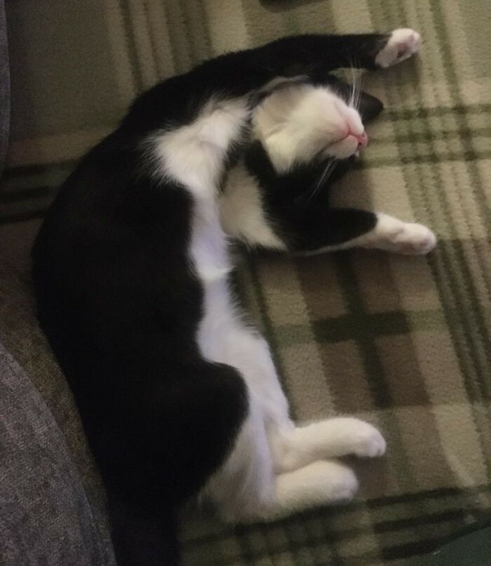 Sleepy Little Girl...