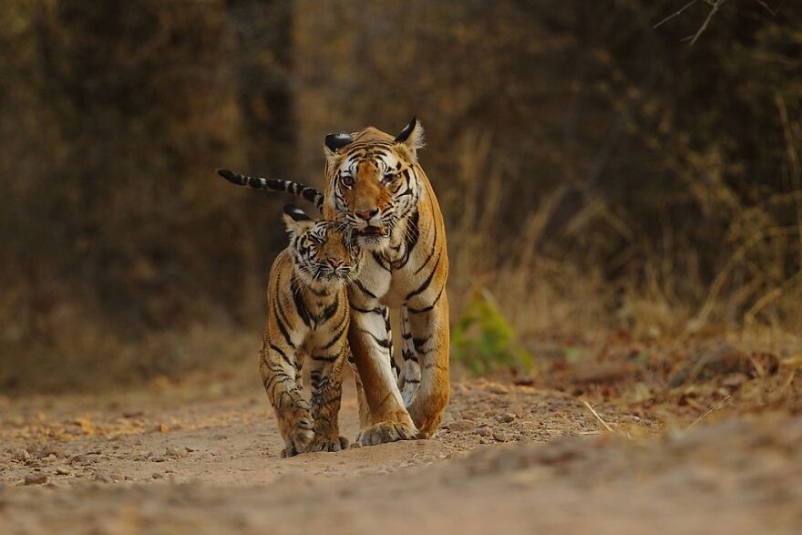 Top 5 Must-Visit Cities When Traveling To India Top 5 Must-Visit Cities When Traveling To India