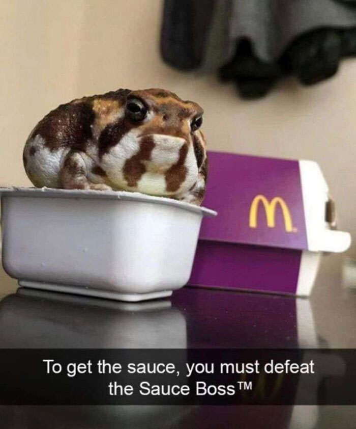 Sauce Froggo