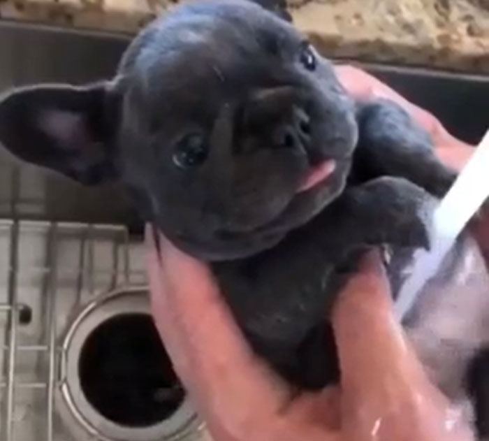 Tiny Units First Bath