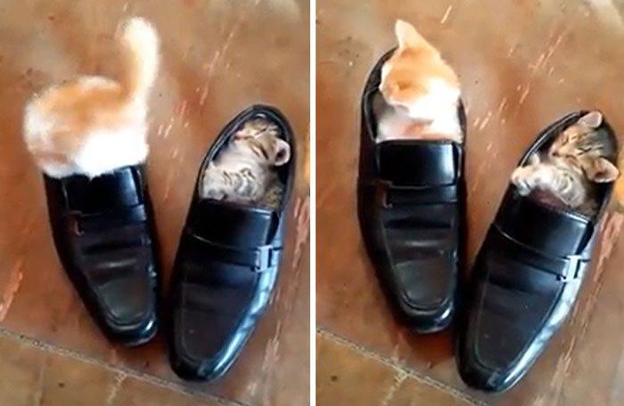 Getting Into Bed Is Not Easy