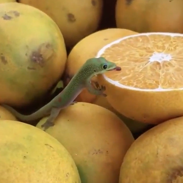 Having The Time Of His Little Life. Enjoy Big Things In Short Life