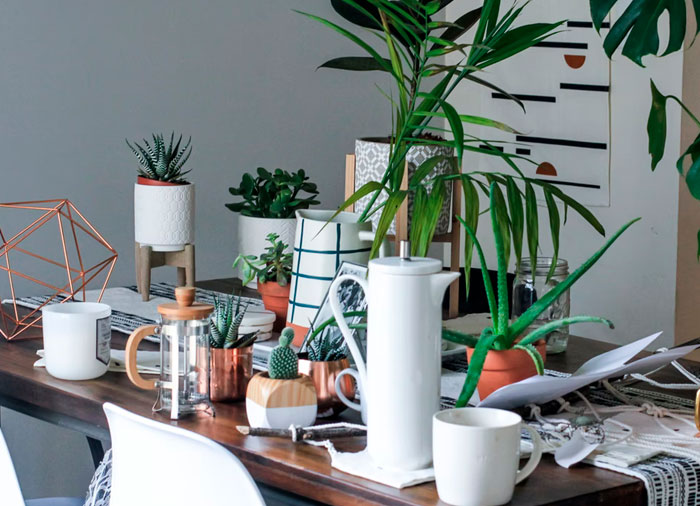 People Who Live Alone Share 30 Underrated Advantages Of Doing So