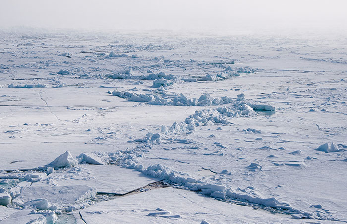 30 "Unfun" Facts People Have Learned Recently That Are Both Fascinating And Terrifying