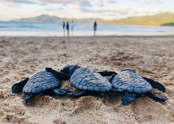 20 Hechos "nada divertidos" aprendidos por la gente y que son tan fascinantes como aterradores