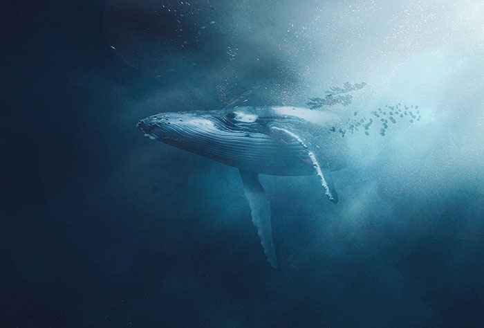 30 "Unfun" Facts People Have Learned Recently That Are Both Fascinating And Terrifying