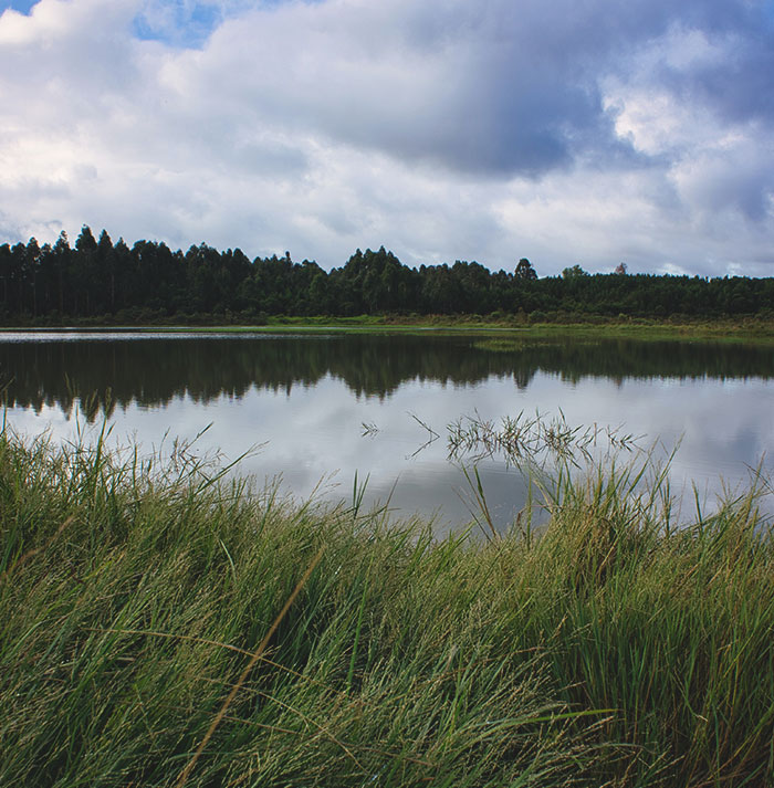 20 Hechos "nada divertidos" aprendidos por la gente y que son tan fascinantes como aterradores