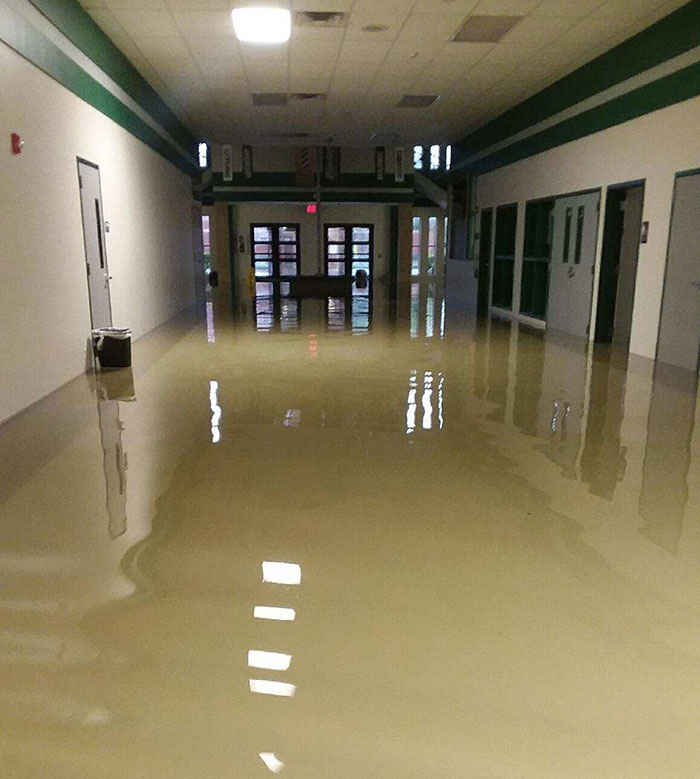 Pictures From Today. Hurricane Harvey Is Definitely Taking A Toll