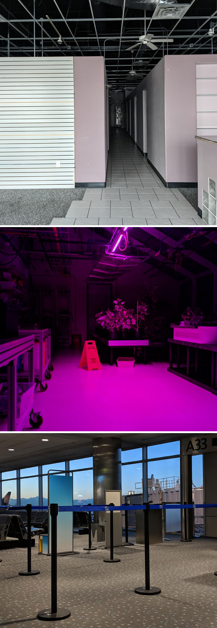 I've Been Taking Pictures Like This For Years Trying To Capture An Inexpressible Feeling