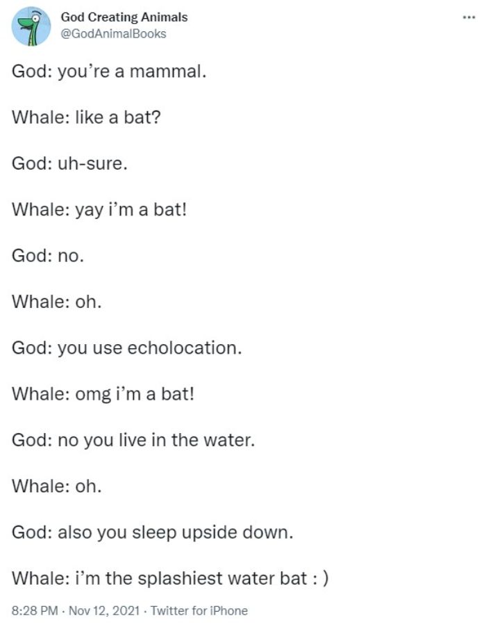 God Creates A Whale